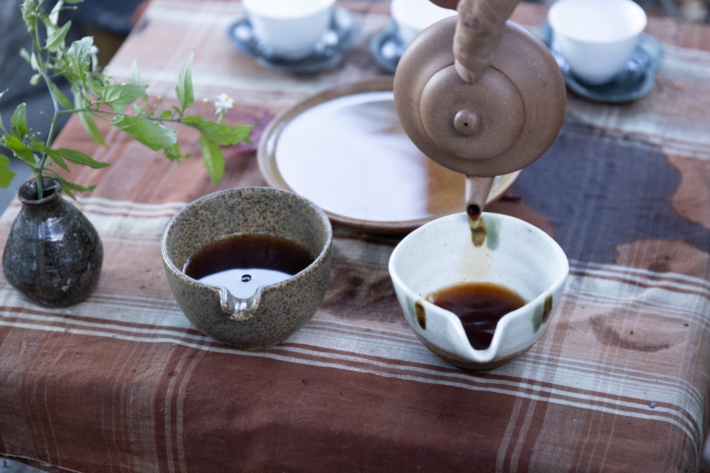 中国茶を茶海に注ぐ手元